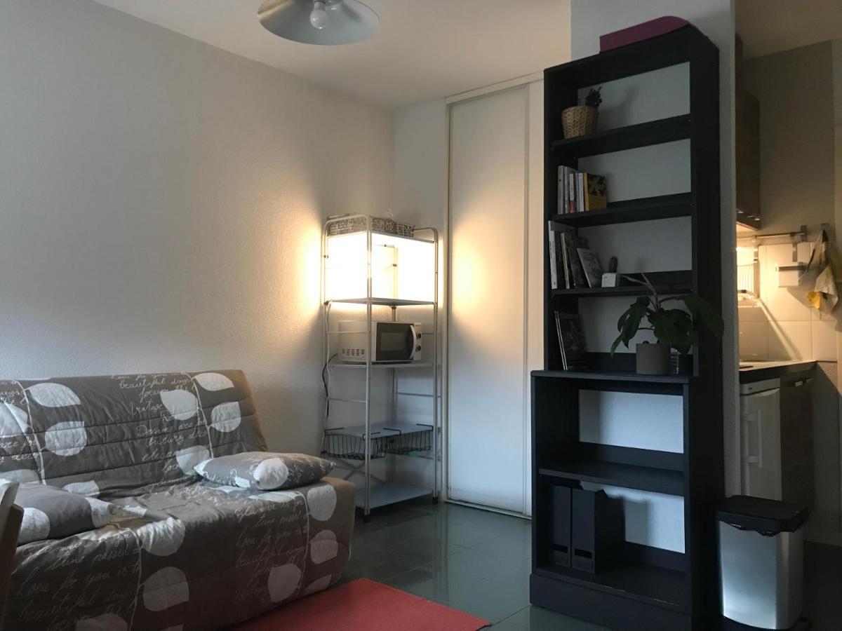 Appartement Dans Toulouse Hyper Centre Buitenkant foto